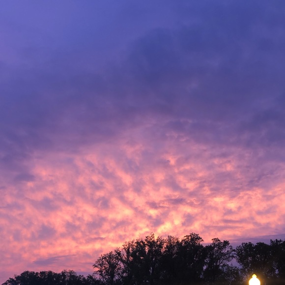 Meet your Posher, Gregory - Picture 1 of 1